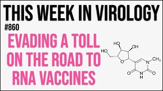 TWiV 860: Evading a Toll on the road to RNA vaccines