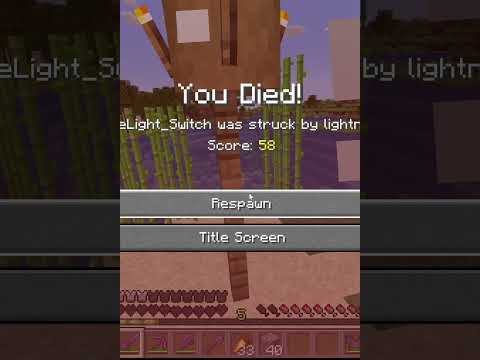 INSANE Light Switch Glitch in Minecraft!! WTF?!