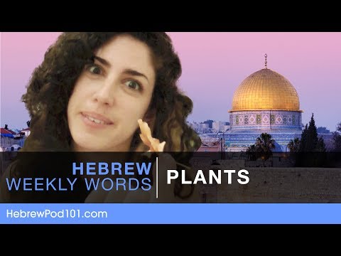 Hebrew Weekly Words with Yaara - Plants
