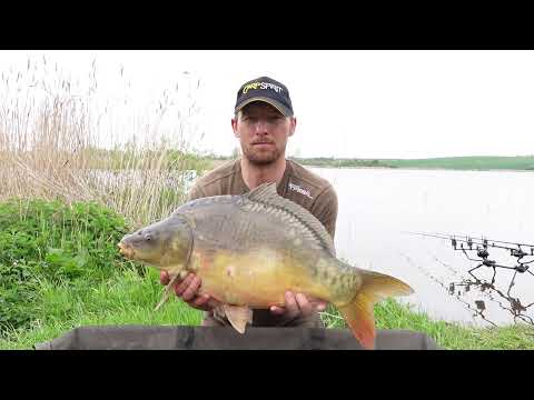 Majowe karpie i amury. Łowisko Kwiecewo 2021