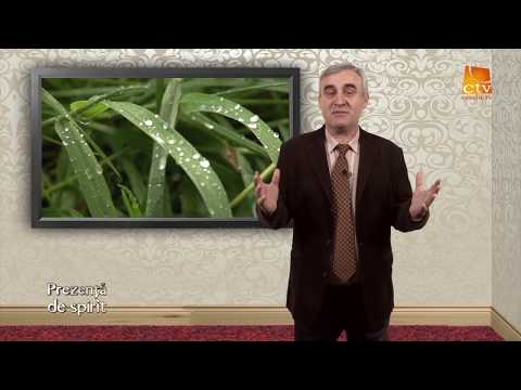 Prezenta de spirit - Vremea Ploii