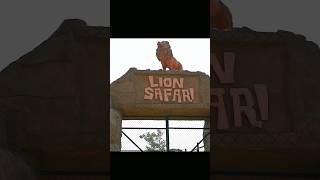 Download lagu Lion Safari Adventure at Lahore Safari Park!🦁 mp3 Download lagu Lion Safari Adventure at Lahore Safari Park!🦁 mp3