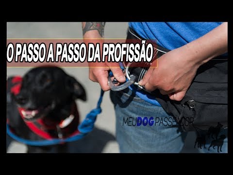 , title : 'Dog Walker (Passeador de Cães) Como Começar - Meu Dog Passeador'