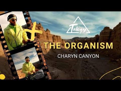 The Organism live set for Trilogy at Charyn Canyon, Kazakhstan