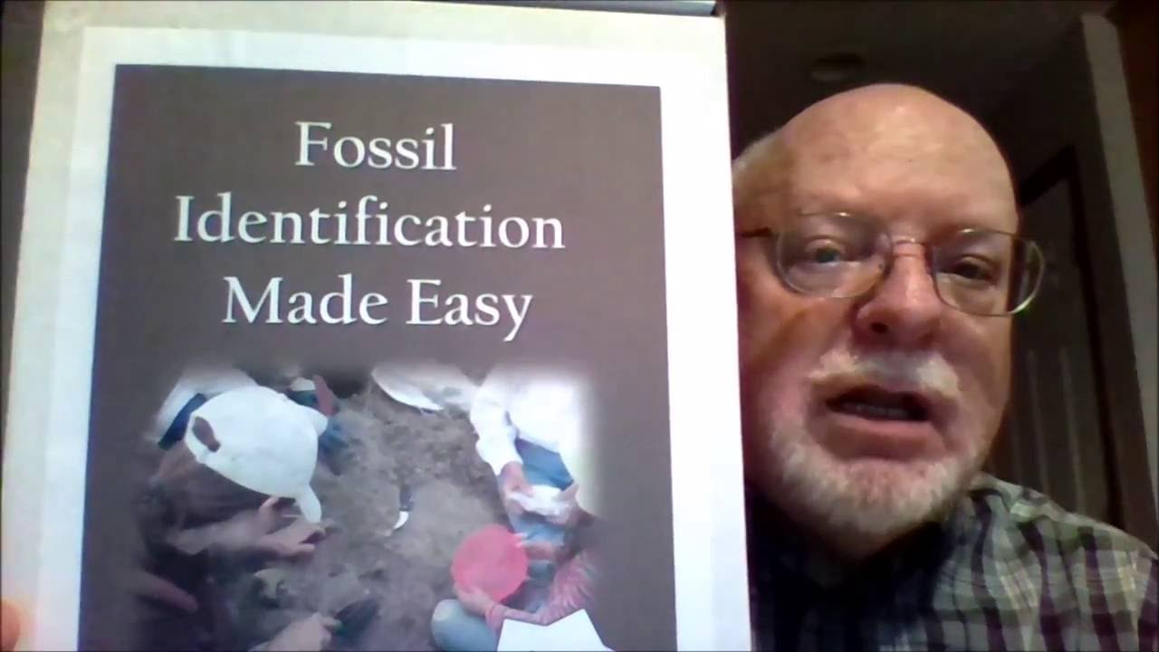 Fossil Identification Made Easy Kit