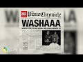 Sfarzo Rtee, Kelvin Momo and DBN Gogo - Washaaa [Feat. Shaun 101] (Official Audio)