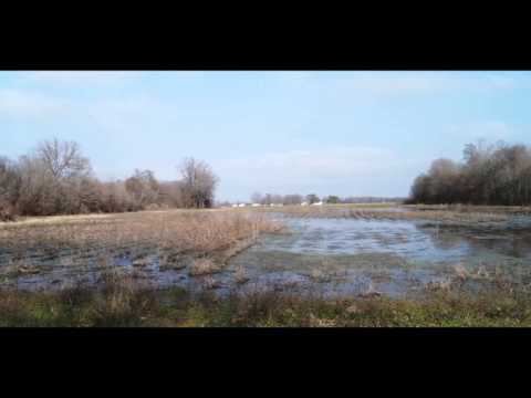 Archive 54 Video thumbnail