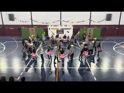 Maria Luiza Cardoso and Terceirão ESD 2025