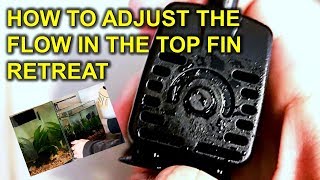 How To Adjust The Flow In The 2.5 Gallon Top Fin Retreat Aquarium