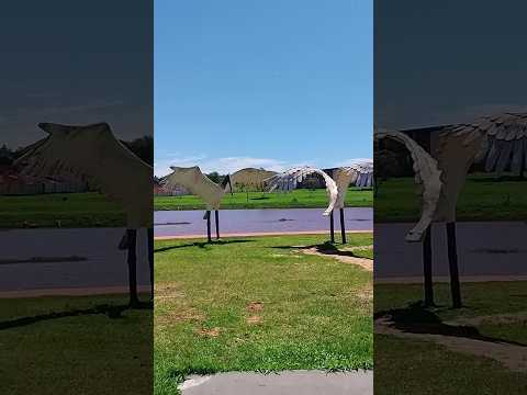 11/11/25, Naviraí, MS.#turismo #viagem #matogrossodosul #naviraí