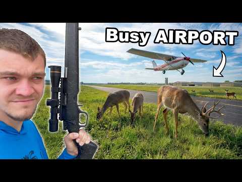 I Hunted Overpopulated Deer in a Busy Airport!