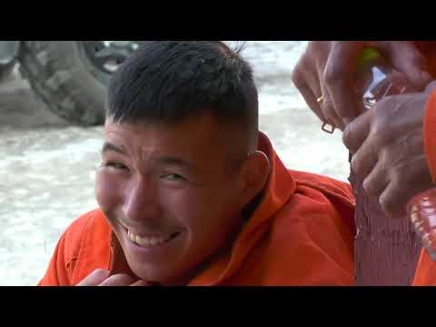 Piorsarsimassuseq Qanimut - Qatserisartuuneq, KNR 22.11.2020