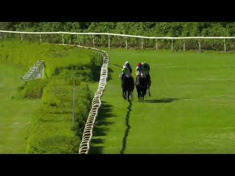 Dschingis Secret gewinnt pferdewetten.de  -  Grosser Hansa Preis