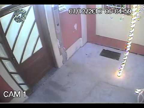 Ladrao de  guirlanda de natal no kobrasol