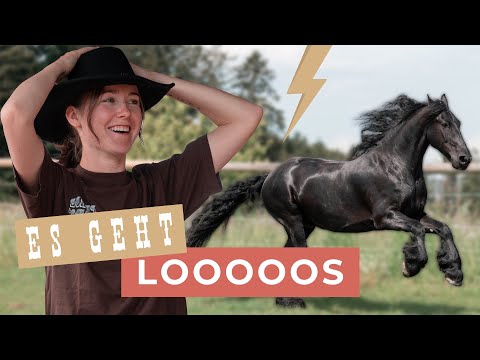 AB INS PFERDECAMP 😍