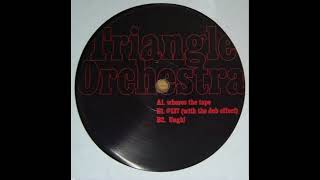 Triangle Orchestra  -  Ungh!