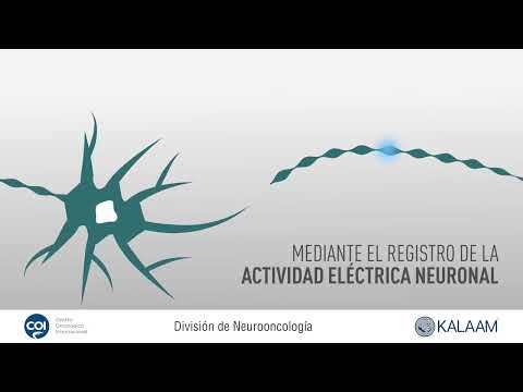 ¿Qué es la Neurofisiología? | División de Neuro Oncología COI