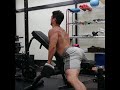広背筋 下部 50ポンド