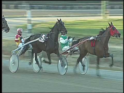 Trotto 23/12/2016 - 2ª corsa