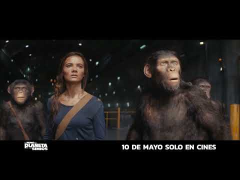 Anuncio: 'Eso está mal'