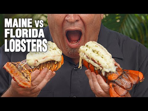 Maine LOBSTER vs Florida LOBSTERS Cookoff - OMG!!