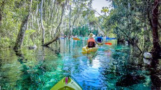 What to Know When Kayaking Crystal River & Three Sisters Springs During Summer