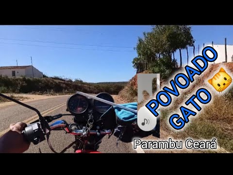 PASSAGEM  PELO GATO  .SENTIDO A GAVIÃO. PARAMBU CE. 