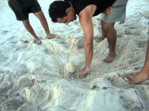 o ''cuzcuz'' na praia -  O abner se deu mal