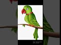 ధనవంతురాలైన ఓ చిలుక కథ The Story Of A Rich Parrot