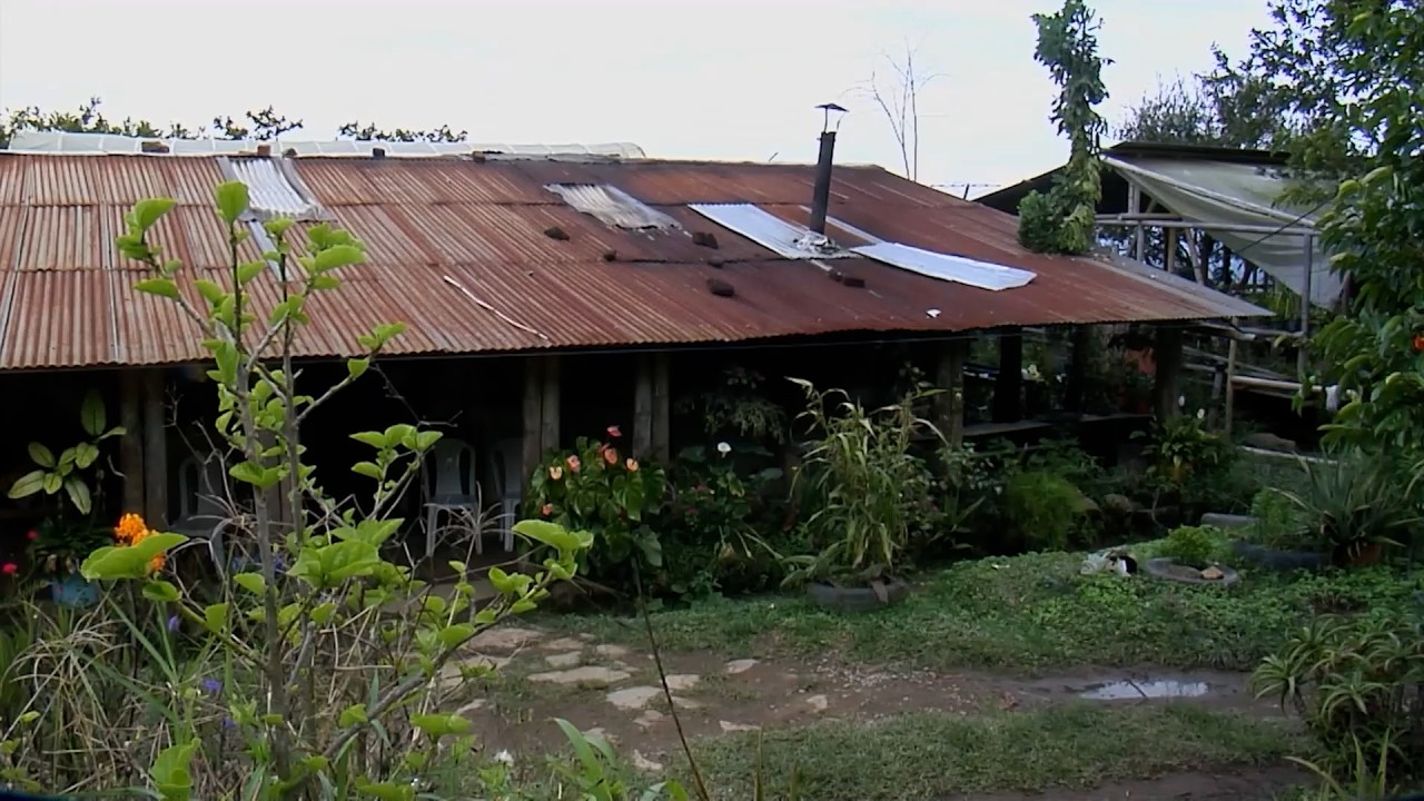 PRODUCCIÓN ORGÁNICA FINCA KAKATAIMA   CALARCA – QUINDÍO CAP 2