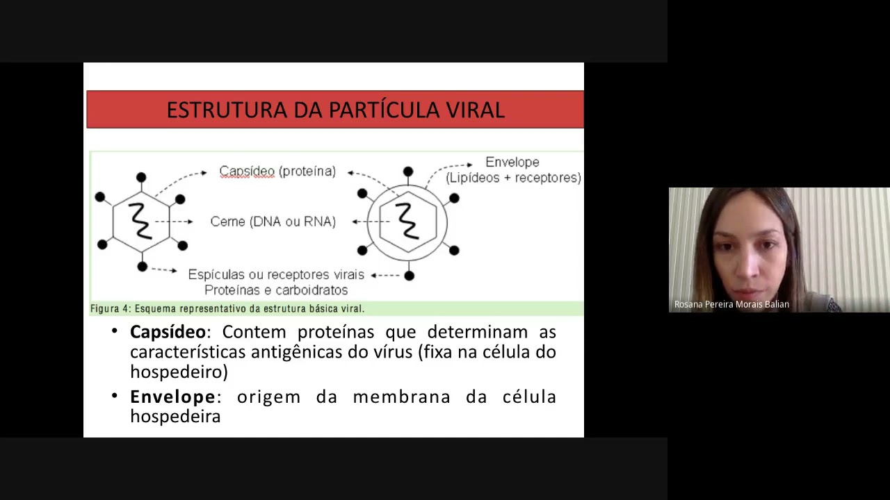 Resposta imune contra vírus COVID19