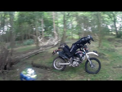 Træstamme tæmmer Tækker