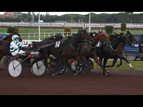 MOMENTI DI...DERBY ITALIANO DEL TROTTO (11/10/2020)