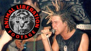 CONFLICT ~ BERKSHIRE CNUT  - Video footage