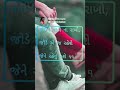 New Gujarati Love Status Gujarati Whatsapp Status Gujarati Shayari Status Gujarati Status