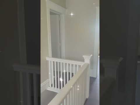 2618 Elizabeth (A&A Legacy) - Video 2 of 2