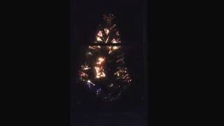 A little Christmas spirit happening!