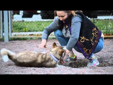 Risha on the walk 5.11.2015