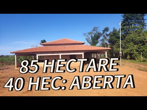 VEJAM QUE SÍTIO ARRUMADO NA REGIÃO DE RUROPOLIS PARÁ: 85 HECTARE 40 HECTARE PRONTA .