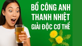 Chữa Bệnh Gan, Giải Độc, Hết Mụn: Sự Kỳ Diệu Của Cây Bồ Công Anh Ít Người Biết