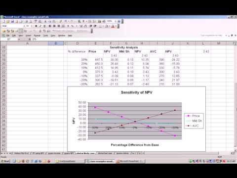 Capital Expenditure Risk Analysis