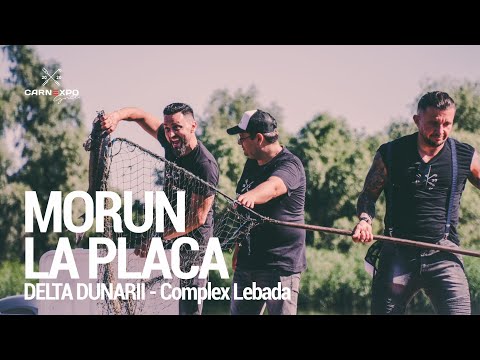 CARNEXPO Grill TV - Morun la placa // Delta Dunarii - Complex Lebada