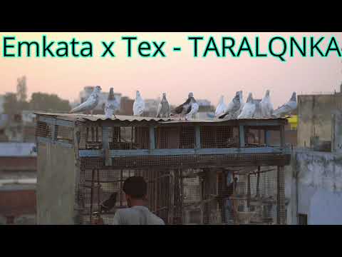 Emkata x Tex - TARALQNKA