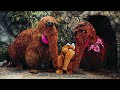 Snuffy S Parents Get A Divorce Reconstruction