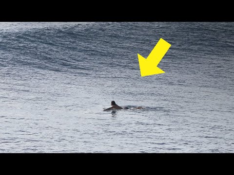 Local Legend Finds Space In Crowded Lineup – Uluwatu