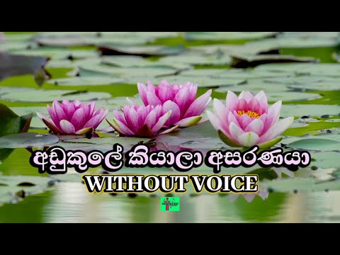 Adu Kule Kiyala Asaranaya Karaoke (Without Voice) අඩු කුලේ කියාලා අසරණයා