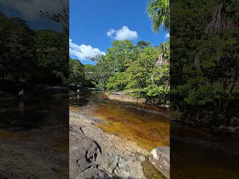 Corredeira das Lajes em Presidente Figueiredo no Amazonas.