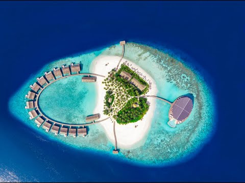 Videos del Kudadoo Maldives Private Island 5★ en Lhaviyani Atoll, Maldivas
Ver Más
Ver
Precios
19
Cerrar
Consulta por Whatsapp 🇦🇷
Booking
Tripadvisor
Expedia
Agoda
Travelocity
Orbitz
Priceline
Trip
Skyscanner
Despegar
Kayak
Hoteles
Destinia
Trivago
Lastminute
Hotwire
Cheaptickets
Tui
Wotif