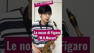 Download lagu 【フィガロの結婚】Le nozze di Figaro / W.A.Mozart【毎日サックスVlog】 mp3 Download lagu 【フィガロの結婚】Le nozze di Figaro / W.A.Mozart【毎日サックスVlog】 mp3