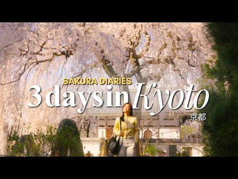 🌸 Kyoto in Spring (3-day itinerary)| sakura spots, food, sakura festival | Cozy Japan Vlog